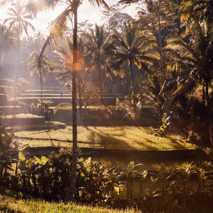 Kids playground area in Germany